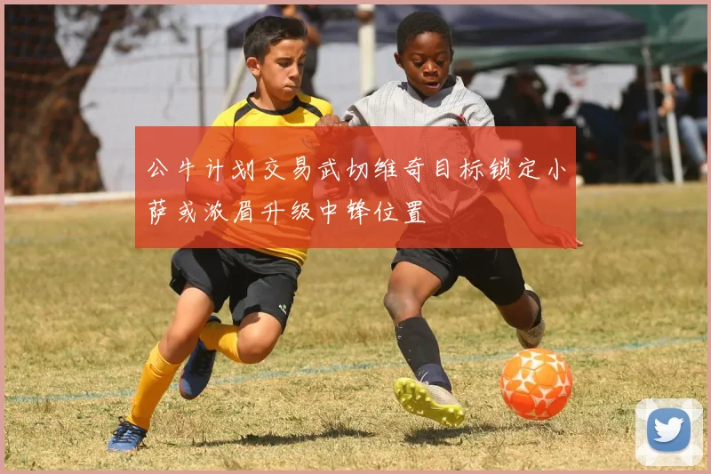 公牛计划交易武切维奇目标锁定小萨或浓眉升级中锋位置