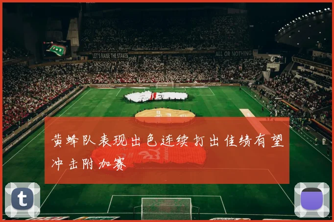 黄蜂队表现出色连续打出佳绩有望冲击附加赛