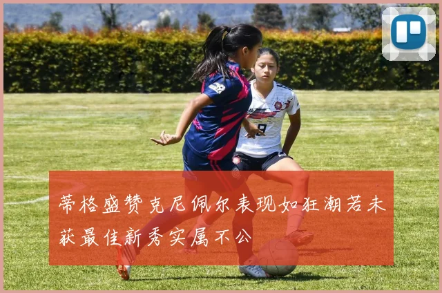 蒂格盛赞克尼佩尔表现如狂潮若未获最佳新秀实属不公