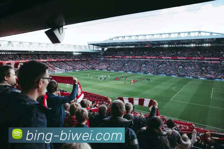 多媒体互动体验