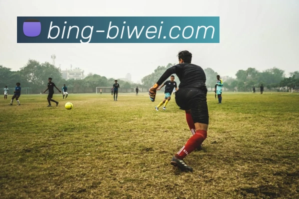 必威体育APP 高清赛事图